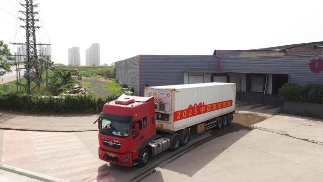 2025年中荔集团荔枝首发。