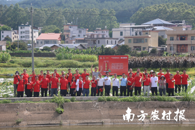 广州王老吉大健康产业公司党员参观长潭镇仙草种植基地