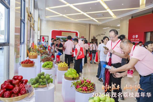 2025荔枝季开启。