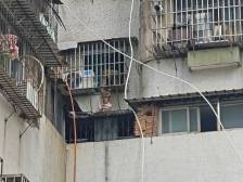 江门好邻居！蓬江一幼童被困窗台，邻居和消防员接力救援