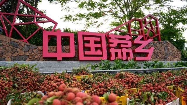 如何让荔枝适配多元舌尖？茂名用消费场景创新作答