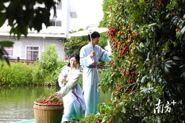 南方农村报 王富迪 拍摄