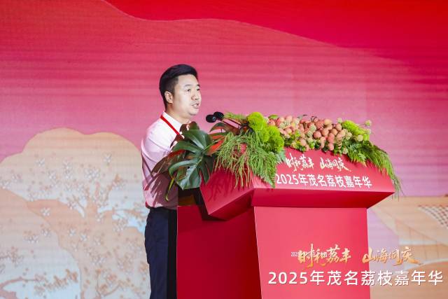 顺丰集团副总裁谭靖华致辞。