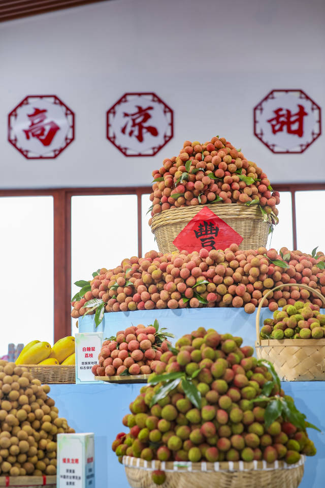 溢满箩筐的高州荔枝展示着丰收的喜悦。 溢满箩筐的高州荔枝展示着丰收的喜悦。