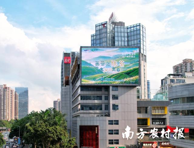 陆河区域品牌“云上陆茶”登陆粤港澳大湾区文化高地289艺术园区顶屏