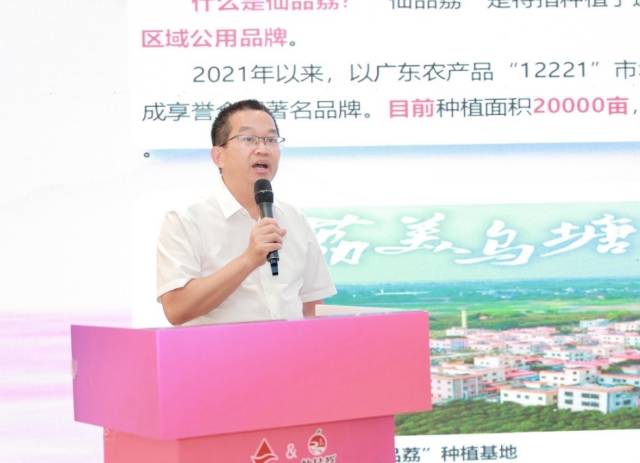 遂溪县乌塘镇委书记洪文泽