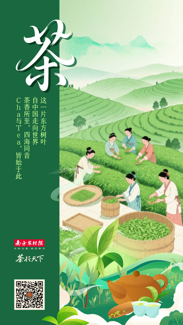 受访者供图