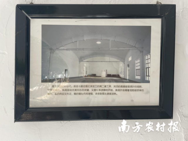 红旗茶厂车间连廊上展示的老照片——拥有大跨度砖砌拱顶的揉捻车间。