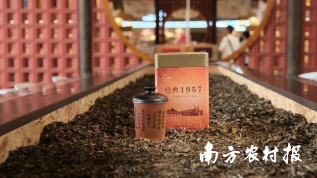 红旗茶厂目前最受欢迎的“经典1957”茶叶。