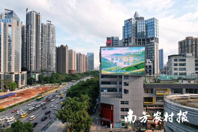 陆河区域品牌“云上陆茶”登陆粤港澳大湾区文化高地289艺术园区顶屏