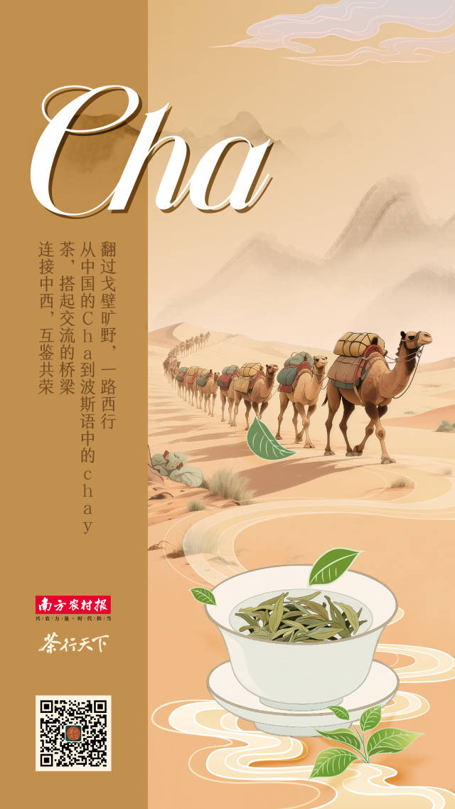 增产预期催生光伏板块股价反弹，光伏行业顺境反转依赖“铁腕”出清