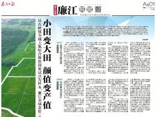 小田变大田 颜值变产值丨速览《南方日报·廉江视窗》183期