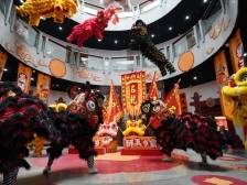 获评全省“最佳活力奖”，石龙博物馆醒狮展破圈