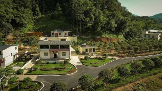 南方农村报 王富迪 拍摄