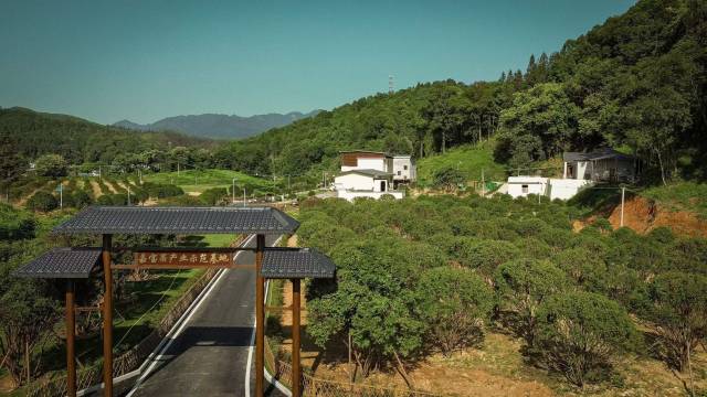 南方农村报 王富迪 拍摄