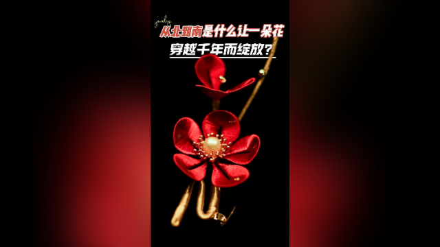 在+探宝｜从北到南，是什么让一朵“花”穿越千年而绽放？