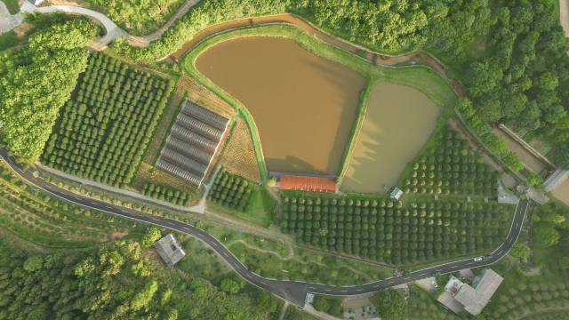 南方农村报 王富迪 拍摄