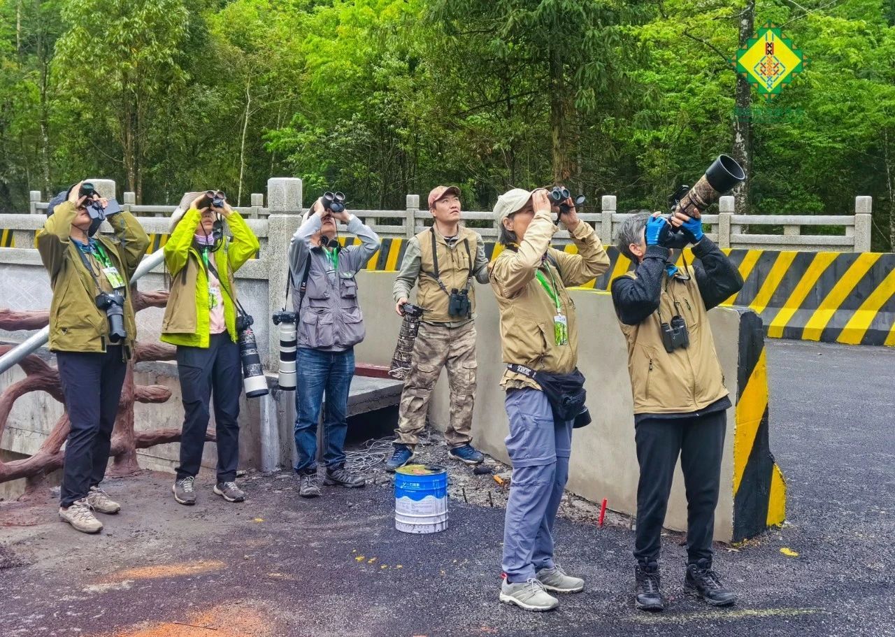 第四届南岭观鸟嘉年华举办 