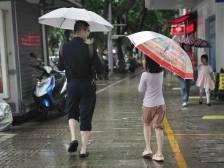 雨天蹚水需谨慎！江门医生提醒：小心感染丹毒危及生命