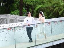 海上颁证+商圈撒糖+全城有囍，南山区520甜度超标