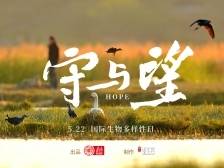 农田里来了“不速之客” | 深调研