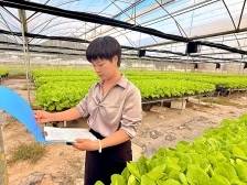 梅州丰顺新农人冯双玲：创新种植方式，碎石滩上“长”出致富菜｜创业梅州④