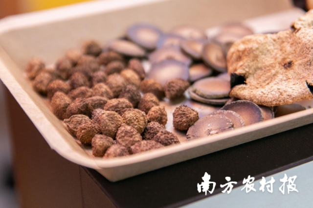 “廣東三寶”包含新會(huì)陳皮、化橘紅,、春砂仁,。
