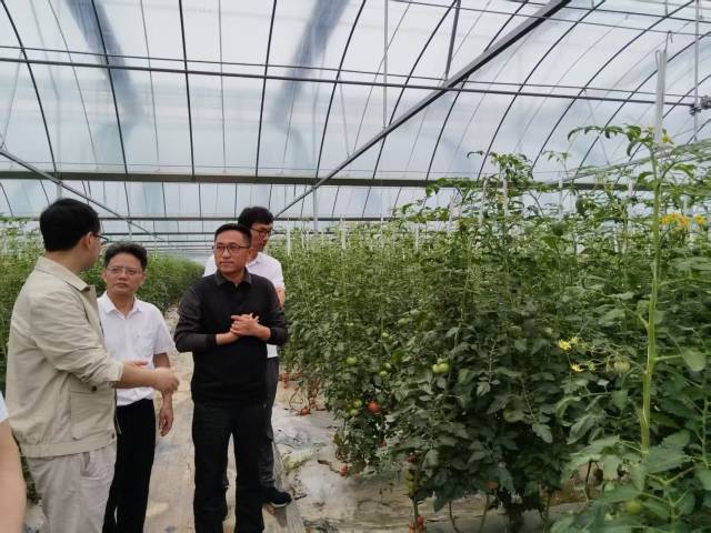 提升养殖废弃物处理效率，广东省农村科技特派员送技到浸潭