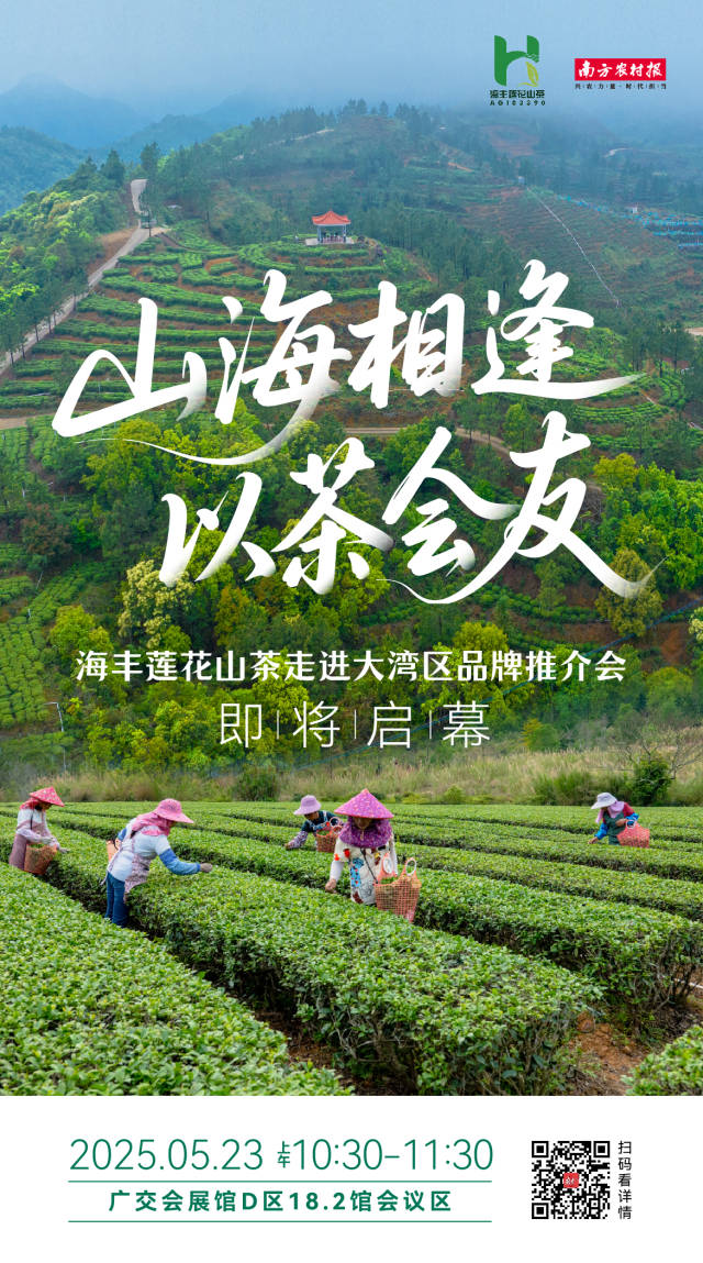 莲花山茶  受访者供图