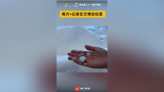 视频｜南方+记者在文博会玩雪