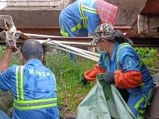 共筑健康家园，黄花岗街东环社区开展爱国卫生运动