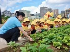 千亩良田育出“新丰景”｜百千万·看龙湖