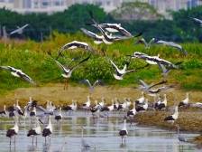 南方日报 | 3年新发现146种海洋生物！南澎列岛生物多样性显著提高