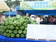 跟着《三餐四季》了解“杜阮凉瓜法官”的法护四季