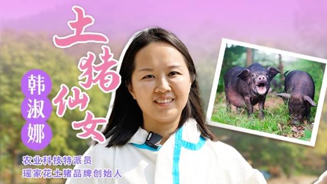 生态养殖疾病防治难？“土猪仙女”韩淑娜讲解原生态土猪如何做好疾病防控。#农业科技特派员轻骑兵#农技先锋行