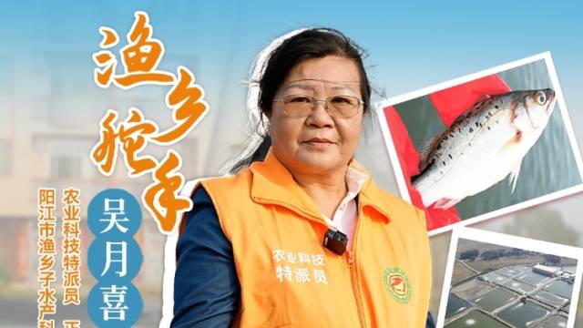 养殖海鲈鱼苗增氧很重要，渔乡舵手吴月喜分享海鲈鱼苗养殖要点。#农业科技特派员轻骑兵#农技先锋行