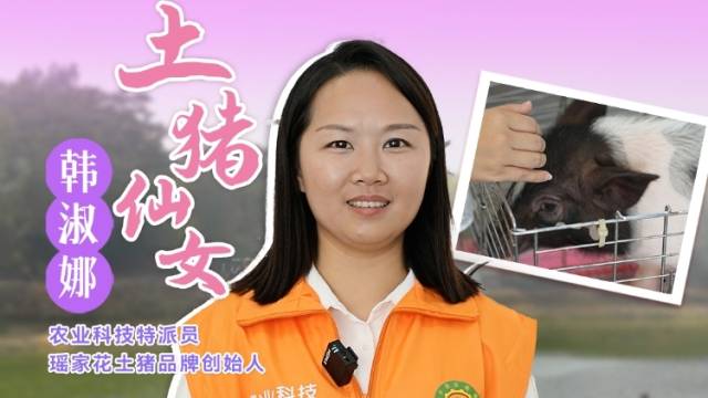 控制土猪断奶期，可以多产一次仔。“土猪仙女”韩淑娜讲解土猪养殖注意事项。#农业科技特派员轻骑兵#农技先锋行