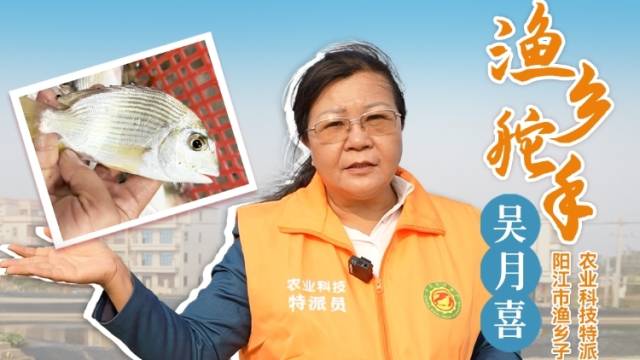海洋中也有“清道夫”？渔乡舵手吴月喜讲解平鲷的养殖注意事项和妙用。#农业科技特派员轻骑兵#农技先锋行