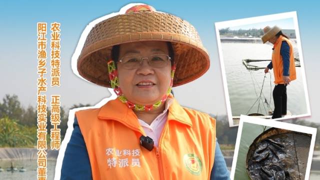 石斑鱼苗怎么喂？渔乡舵手喜姐讲解石斑鱼苗养殖技术。#农业科技特派员轻骑兵#石斑鱼