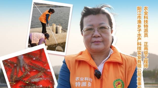日本对虾如何养殖，渔乡舵手吴月喜讲解三点注意事项。#农业科技特派员轻骑兵#农技先锋行