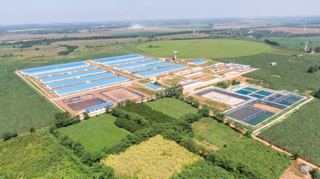 广垦三塘一体化生猪养殖基地