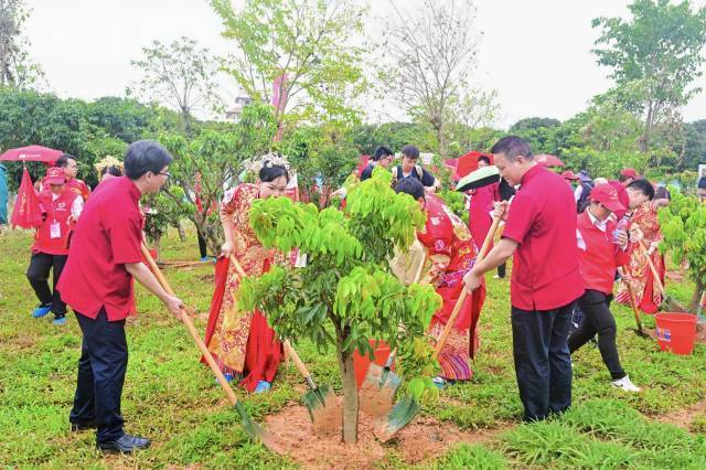 茂名市根子镇“有好事 种棵树”同心林植树活动