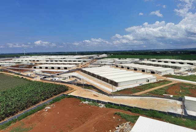 广垦牧原50万头合作项目（部分养殖基地）