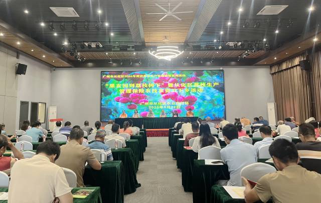 还有一个月上市！从化开展荔枝安全培训活动保障荔枝品质