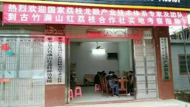 国家荔枝龙眼产业技术体系专家及团队到合作社实地考察指导。