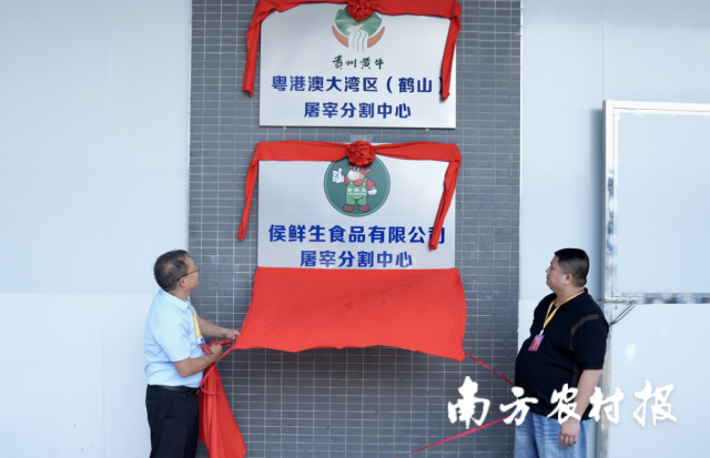 贵州黄牛粤港澳大湾区（鹤山）屠宰分割中心正式揭牌。