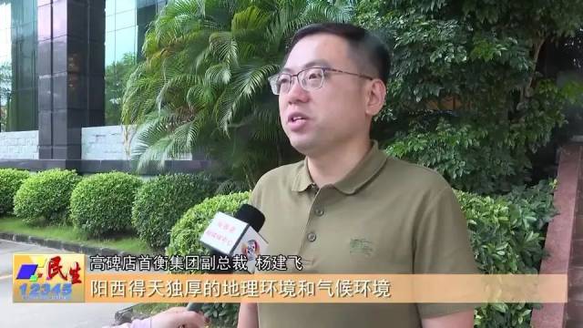 首衡集團(tuán)有關(guān)負(fù)責(zé)人接受采訪。