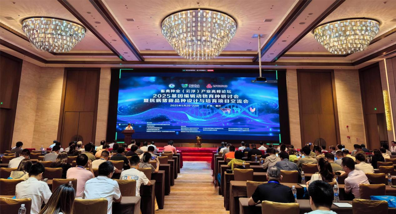 2025年基因编辑动物育种研讨会在广东云浮举办。種研召開(kāi) 2025年基因编辑动物育种研讨会在广东云浮举办。物育