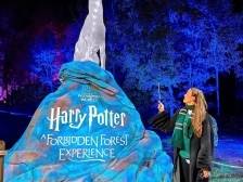 哈利波特迷必打卡！“禁忌森林”夜游全国首站将来深