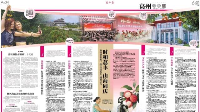 百叶窗评论：解码茂名荔枝的现代化突围